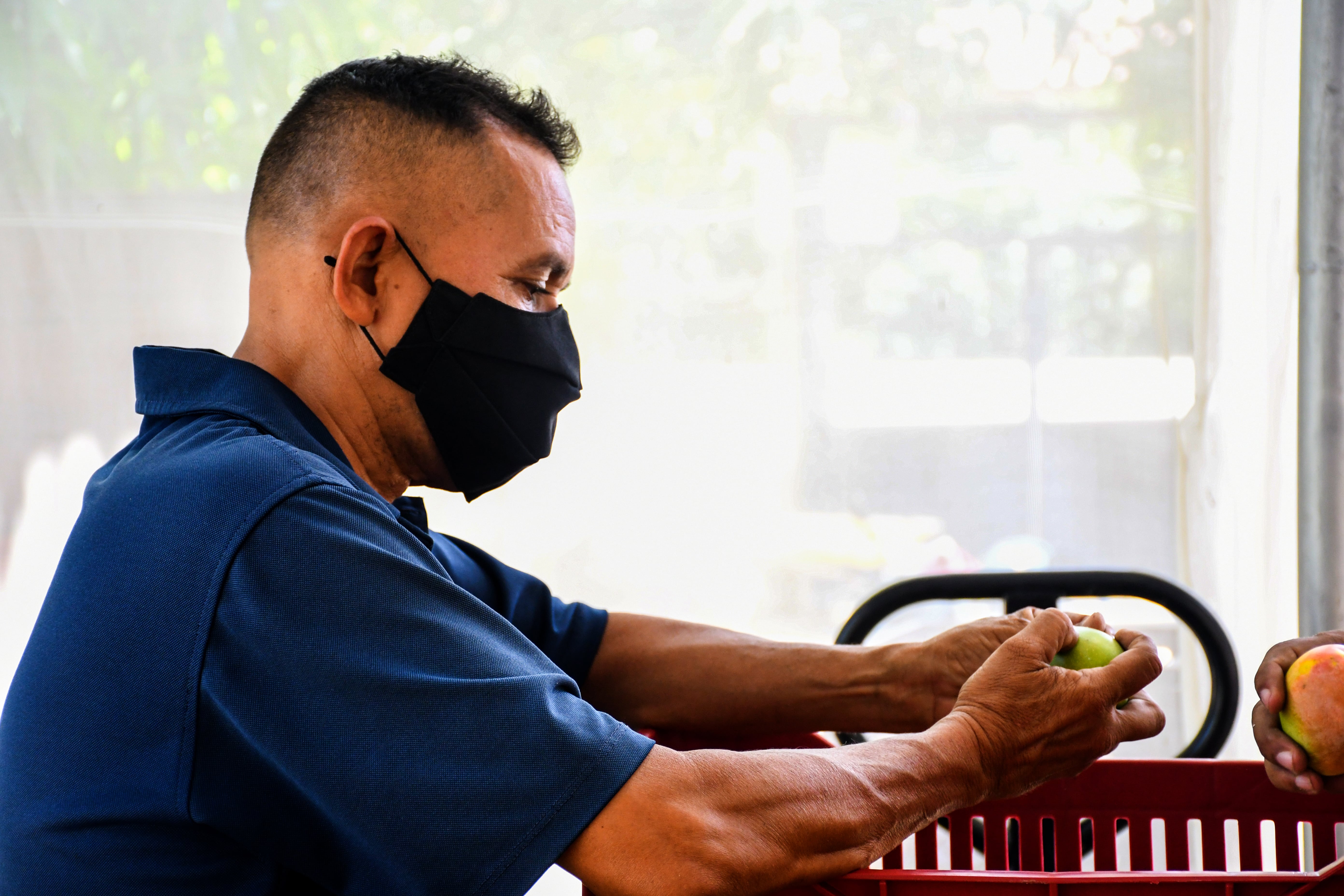 imagen-galeria-agromyss